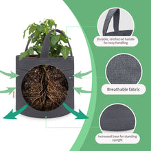 Load image into Gallery viewer, Artpuch Grow Bags 4 Pack 10 Gallon, Gray Heavy Duty Fabric Pot with Handle HDPE Reusable Garden Plant Pots for Indoor/Outdoor