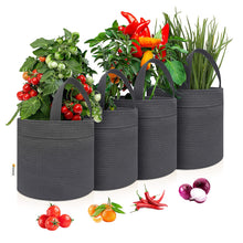 Load image into Gallery viewer, Artpuch Grow Bags 4 Pack 10 Gallon, Gray Heavy Duty Fabric Pot with Handle HDPE Reusable Garden Plant Pots for Indoor/Outdoor

